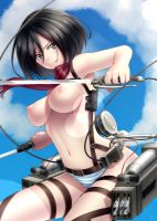 attack_on_titan_-_mikasa_20130914_110.jpg